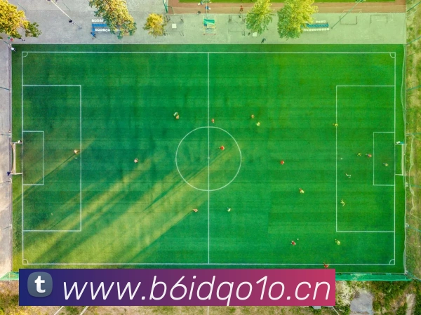 多媒体互动体验